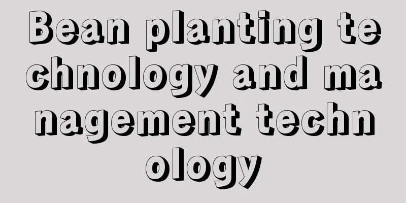 Bean planting technology and management technology