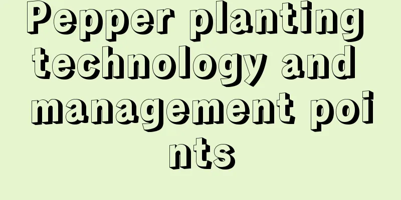 Pepper planting technology and management points