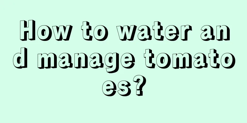 How to water and manage tomatoes?