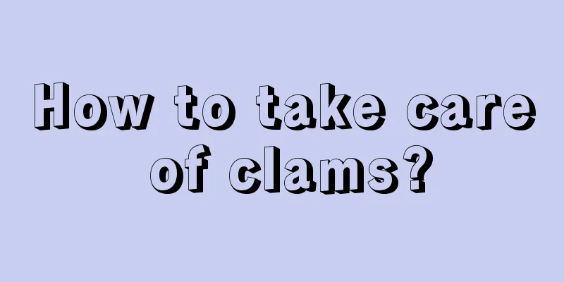 How to take care of clams?