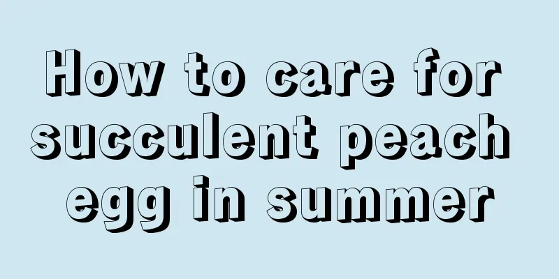 How to care for succulent peach egg in summer