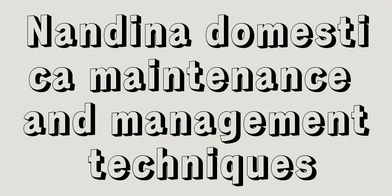 Nandina domestica maintenance and management techniques