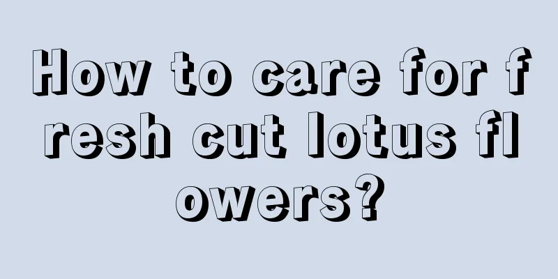 How to care for fresh cut lotus flowers?