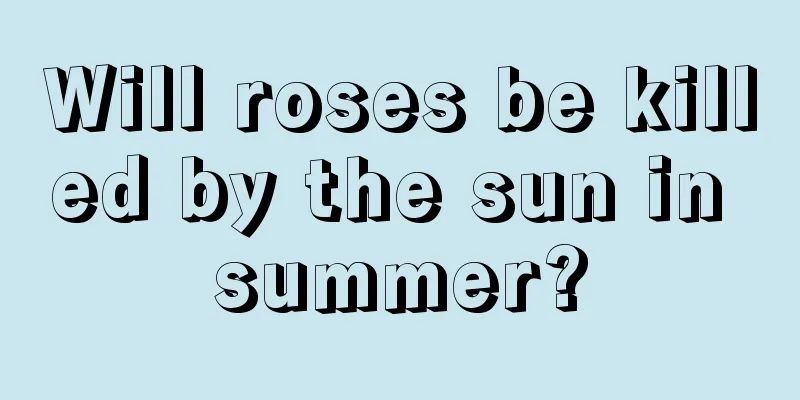 Will roses be killed by the sun in summer?