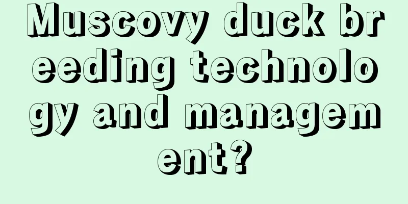 Muscovy duck breeding technology and management?