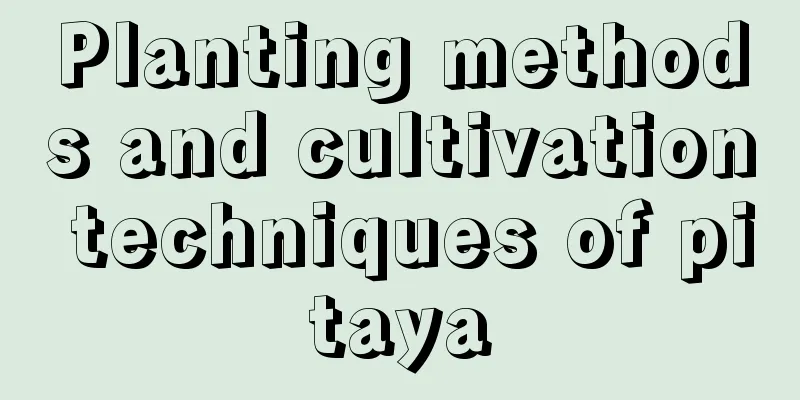 Planting methods and cultivation techniques of pitaya