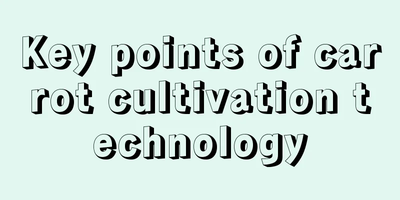 Key points of carrot cultivation technology