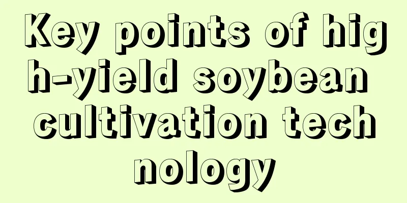 Key points of high-yield soybean cultivation technology