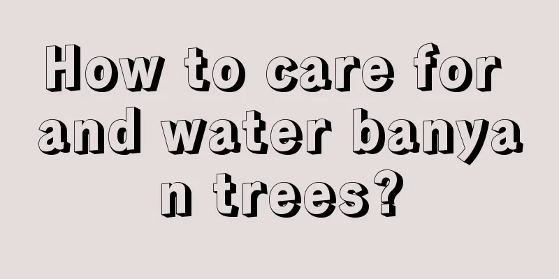 How to care for and water banyan trees?