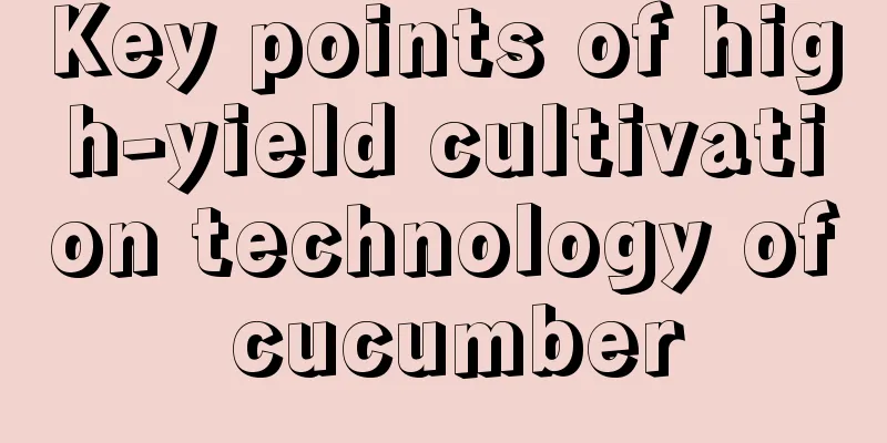 Key points of high-yield cultivation technology of cucumber