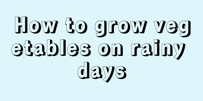 How to grow vegetables on rainy days