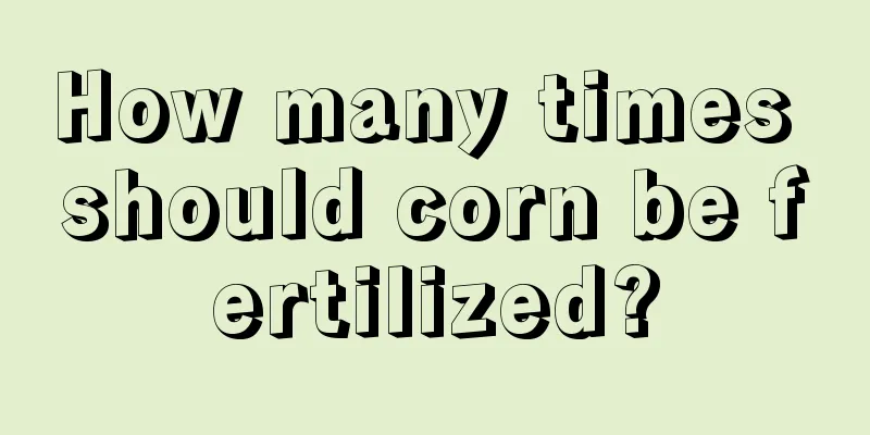 How many times should corn be fertilized?