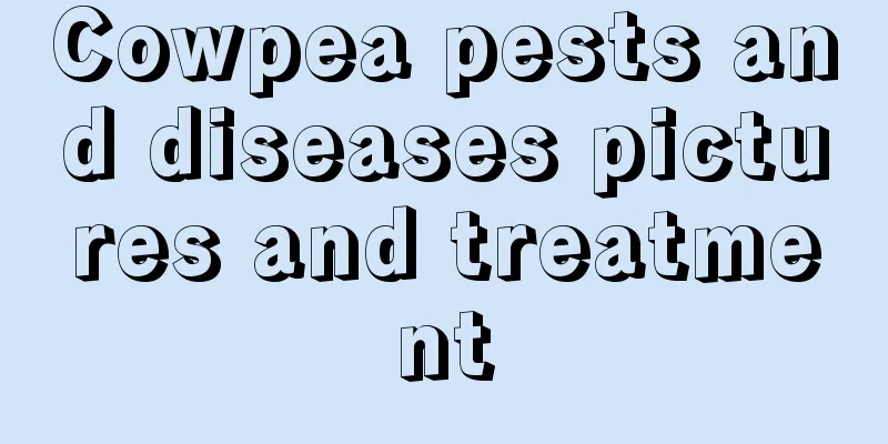 Cowpea pests and diseases pictures and treatment