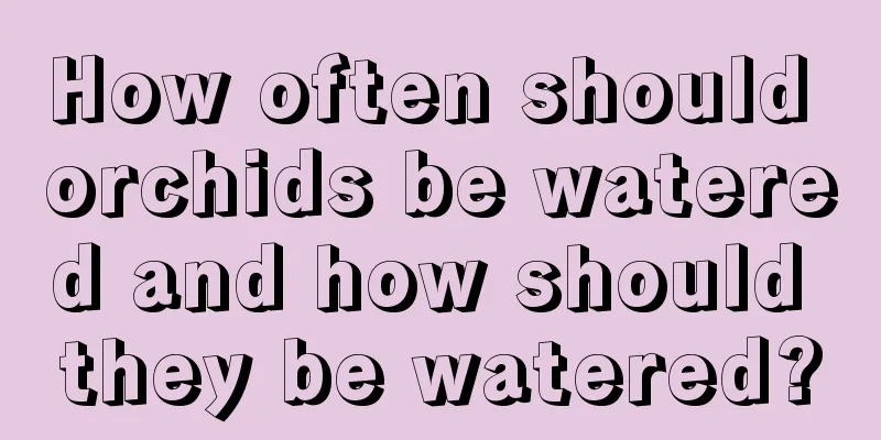 How often should orchids be watered and how should they be watered?