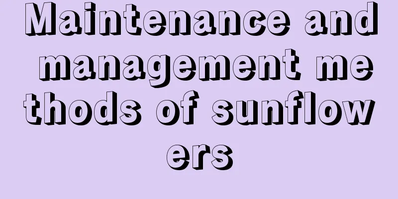 Maintenance and management methods of sunflowers