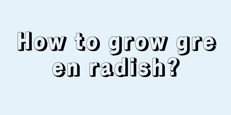 How to grow green radish?