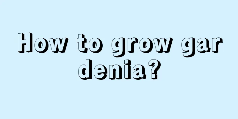 How to grow gardenia?