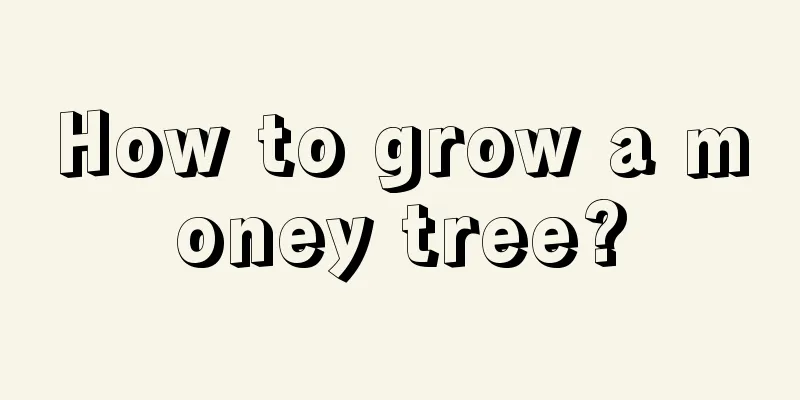 How to grow a money tree?