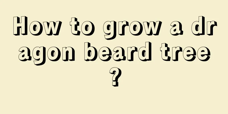 How to grow a dragon beard tree?