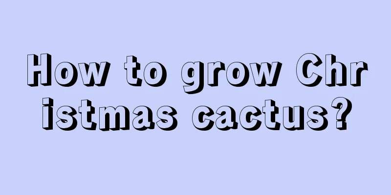 How to grow Christmas cactus?