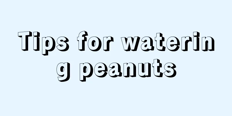 Tips for watering peanuts