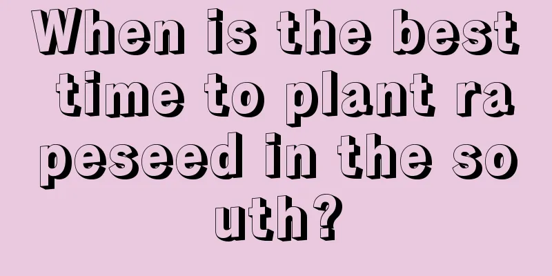 When is the best time to plant rapeseed in the south?