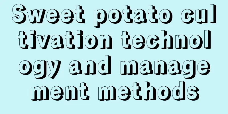 Sweet potato cultivation technology and management methods