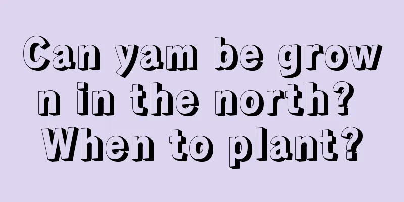 Can yam be grown in the north? When to plant?