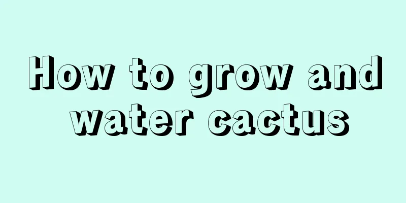 How to grow and water cactus