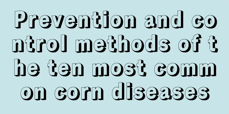 Prevention and control methods of the ten most common corn diseases