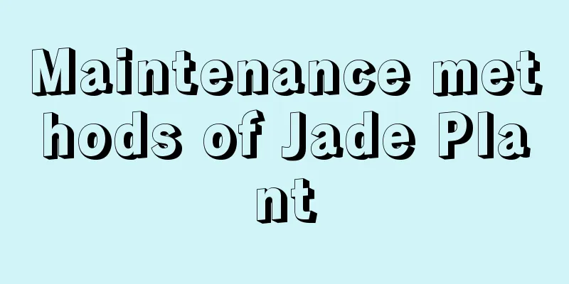 Maintenance methods of Jade Plant