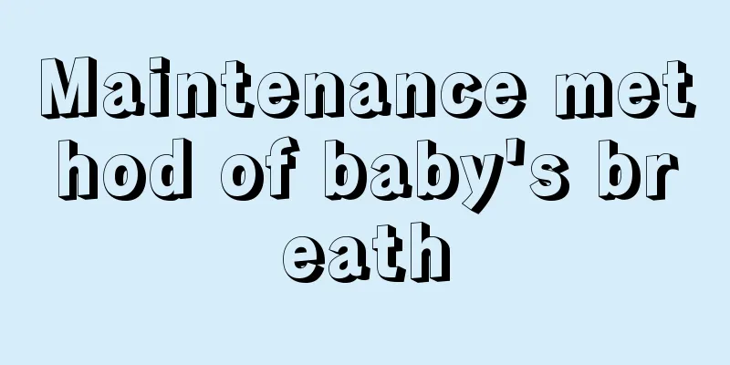 Maintenance method of baby's breath