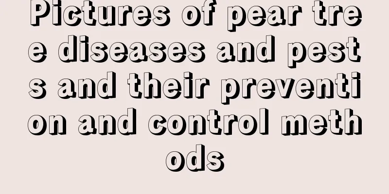 Pictures of pear tree diseases and pests and their prevention and control methods