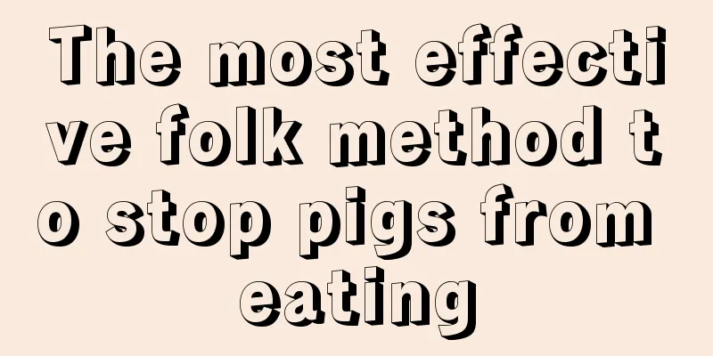 The most effective folk method to stop pigs from eating