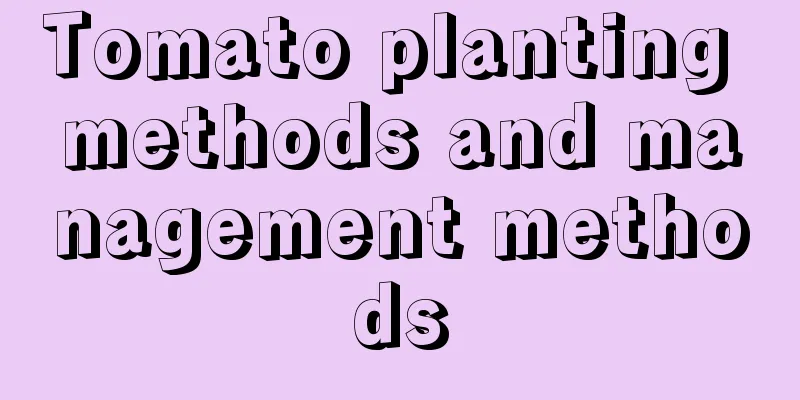 Tomato planting methods and management methods