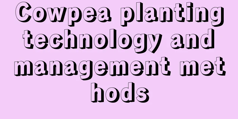 Cowpea planting technology and management methods