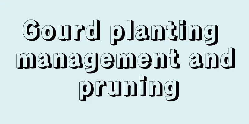 Gourd planting management and pruning