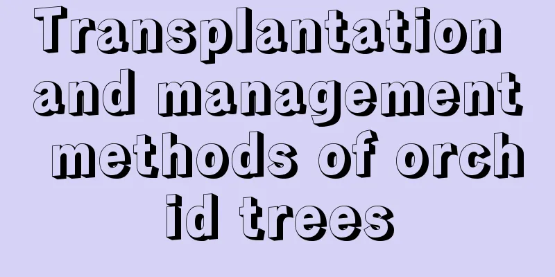 Transplantation and management methods of orchid trees