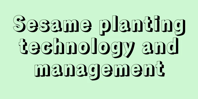 Sesame planting technology and management