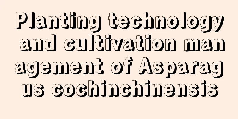 Planting technology and cultivation management of Asparagus cochinchinensis