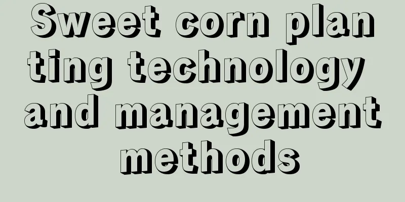 Sweet corn planting technology and management methods