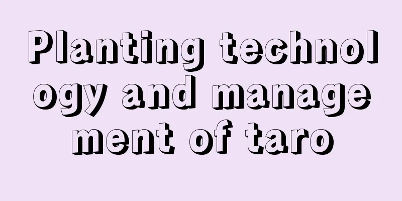 Planting technology and management of taro