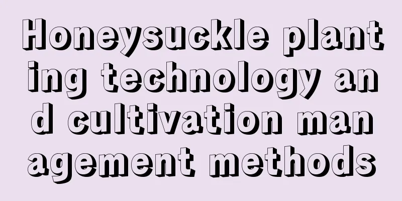 Honeysuckle planting technology and cultivation management methods
