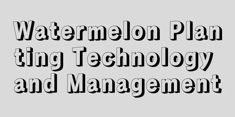 Watermelon Planting Technology and Management