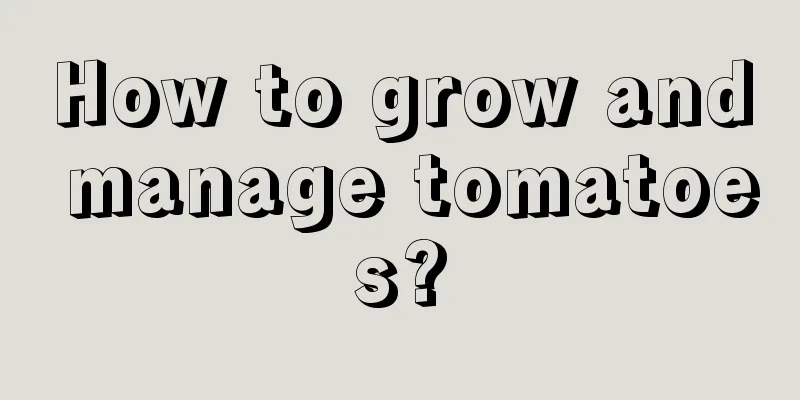 How to grow and manage tomatoes?