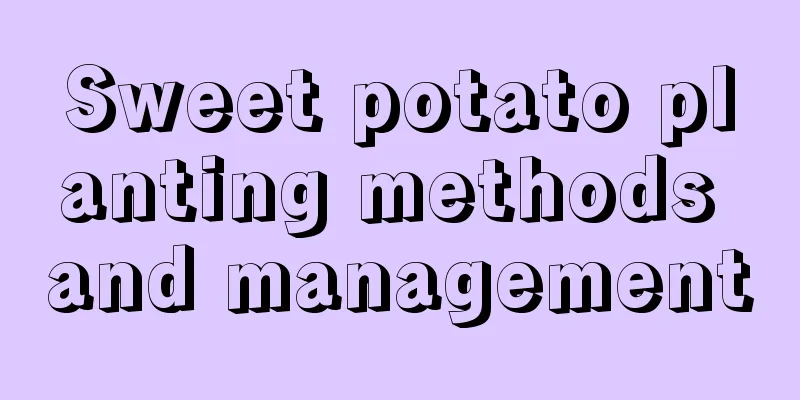 Sweet potato planting methods and management