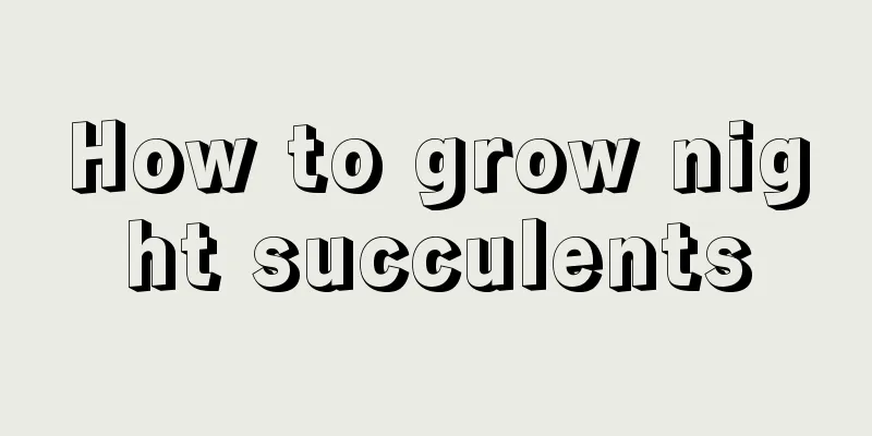 How to grow night succulents