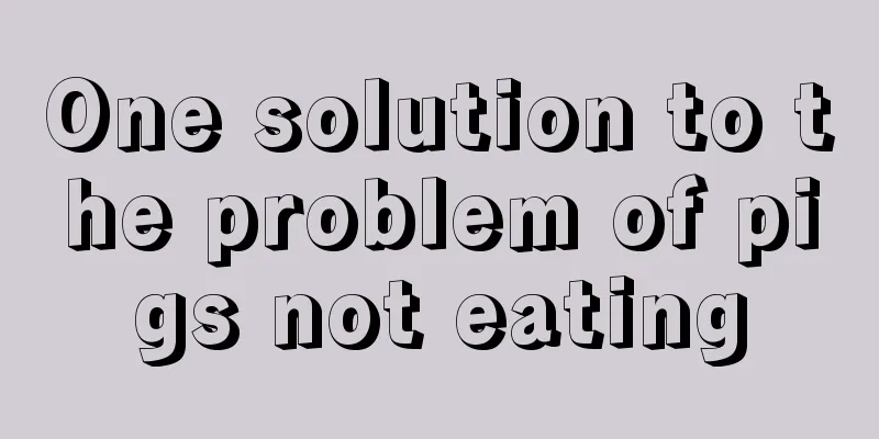 One solution to the problem of pigs not eating