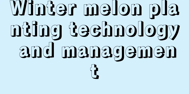 Winter melon planting technology and management