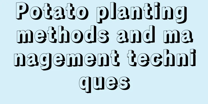 Potato planting methods and management techniques